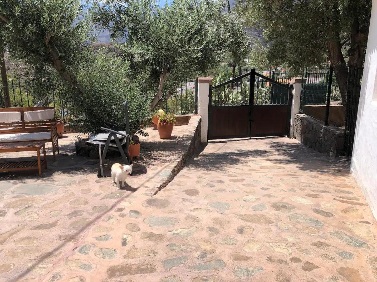 Villa La Casa Vieja De La Montana à Santa Lucía Extérieur photo